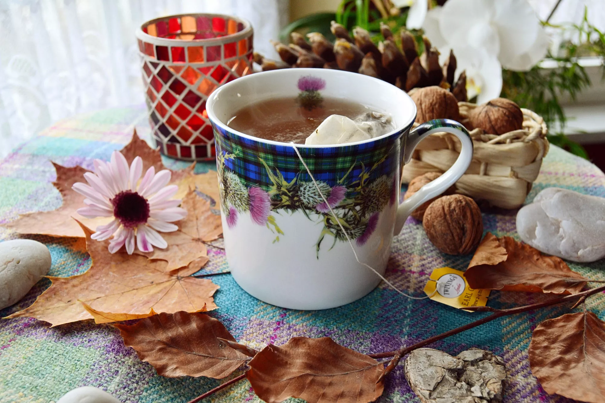 Komme mit einer frischen Tasse Tee zum Kaffeekränzchen! Komme mit einer frischen Tasse Tee zum Kaffeekränzchen!